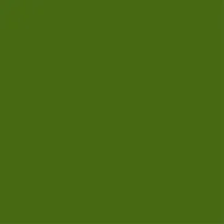 Wetwall Olive Grove Gloss - 600mm - Acrylic -Triton None Store 12828179 6154832976820314
