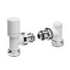 None Angled Valve Set White -Triton None Store 12843918 9574831916035743