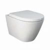 Falcon Wall Hung Toilet (Including Seat) -Triton None Store 13050018 1044984325356551