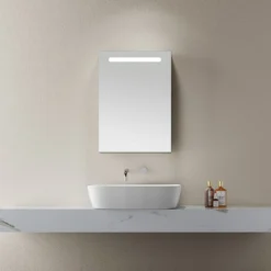 Blenheim Mirror Cabinet - 700x500mm -Triton None Store 13162953 1585051459831478