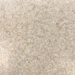 Homebase Edit Toothbrush Holder - Beige Resin -Triton None Store 13660812 4044984543187007