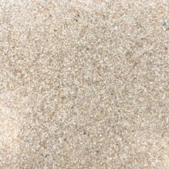 Homebase Edit Soap Dish - Beige Resin -Triton None Store 13660813 1054984543667802