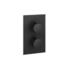 Thermostatic 1 Way Shower Valve - Matt Black Finish -Triton None Store 13914210 2134982456967438